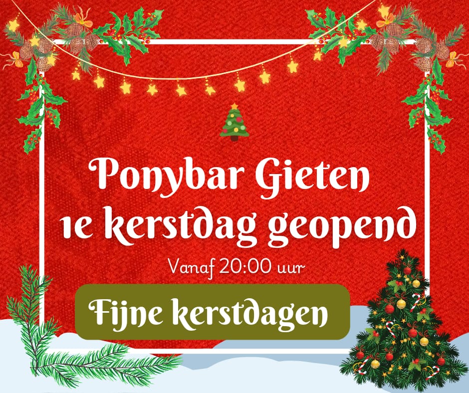 Eerste kerstdag open @ Ponybar